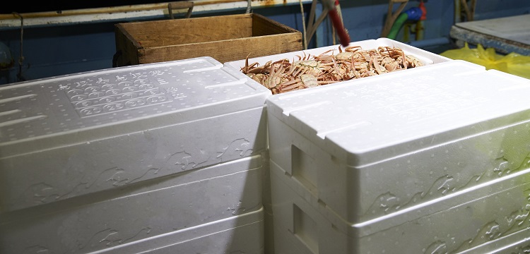 求問(wèn)毒理未來(lái)的前景在何方 ?關(guān)于第三檢測(cè)行業(yè)，食品檢測(cè)、消費(fèi)品檢測(cè)和環(huán)境檢測(cè)，業(yè)務(wù)的開(kāi)發(fā)方向有什么差異。 