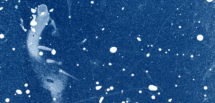 化妝品怎么進(jìn)行產(chǎn)品備案?等離子體管道式空氣消毒凈化裝置技術(shù)原理!