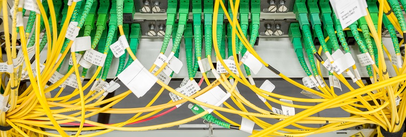 公共衛生考研，這是最好的時期！！！?【2022為民實事系列評論】筑牢公共衛生防護網，是須臾不可放松的大事 健明迪檢測