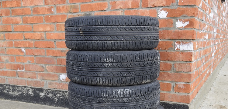 海洋調查規范：海洋生態調查工作如何進行 