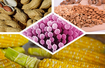 如何查詢消毒殺菌產品的備案信息?如何判斷牙科診所中口腔診療器械消毒是否合格?健明迪