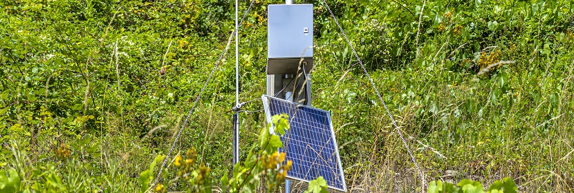 城市供水及飲用水中微生物如何快速檢測(cè) 這幾個(gè)單位的對(duì)比給出答案！?微生物高分文章必備分析LEfSe?健明迪