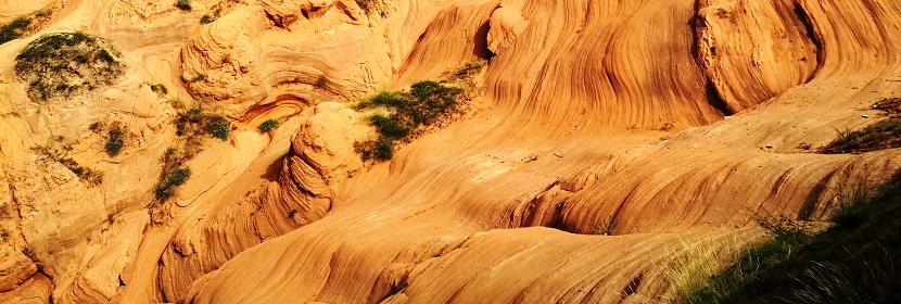 地質(zhì)儀器長(zhǎng)霉試驗(yàn)