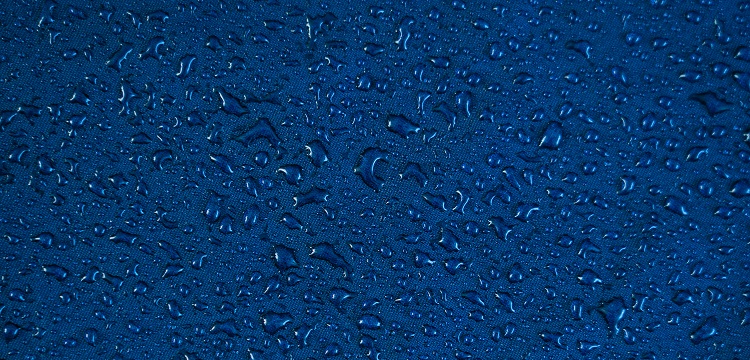 SARS-CoV 鼻內(nèi)感染敘利亞倉(cāng)鼠模型