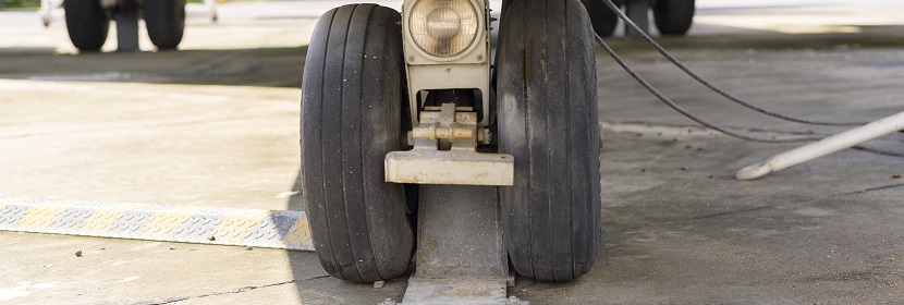 鏈脲佐菌素誘導糖尿病神經(jīng)病變大鼠