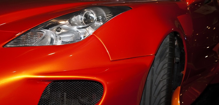 慢性粒細胞白血病轉(zhuǎn)基因斑馬魚模型