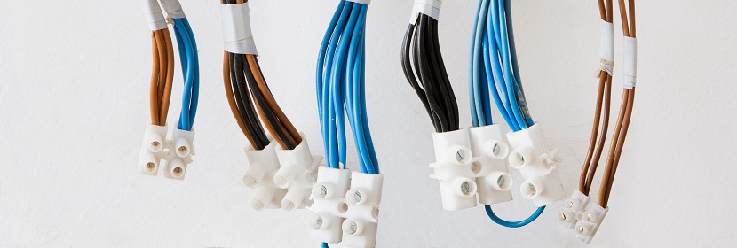 平轉浸出器檢測