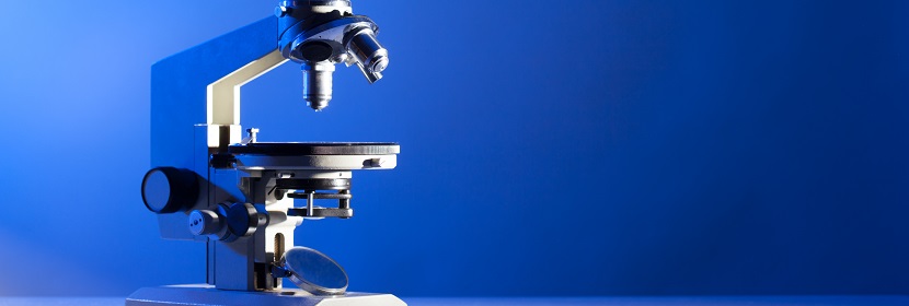 鹽酸硫胺檢測(cè)