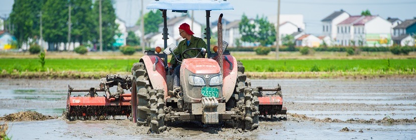 冷濾點(diǎn)檢測(cè)