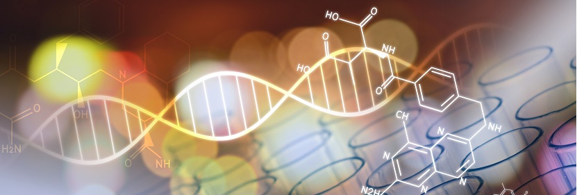 光學級聚酯薄膜檢測