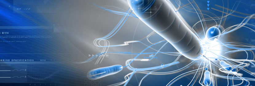 細(xì)菌內(nèi)毒素測(cè)試