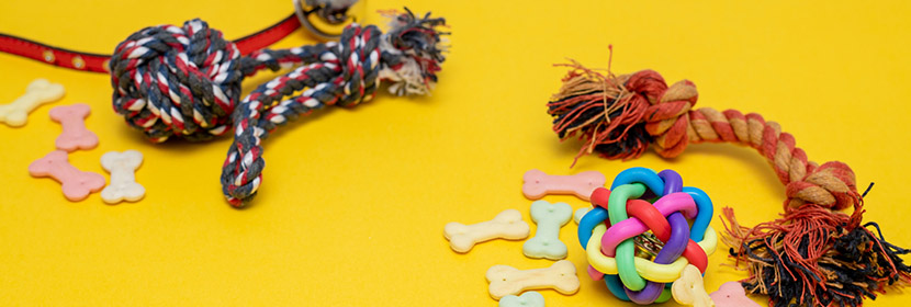 寵物用品檢測(cè)