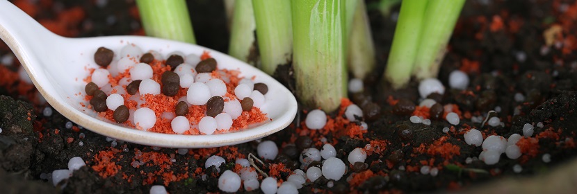 腐植酸微量元素肥料檢測