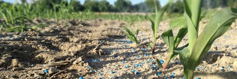 無機包裹型復(fù)混肥料檢測