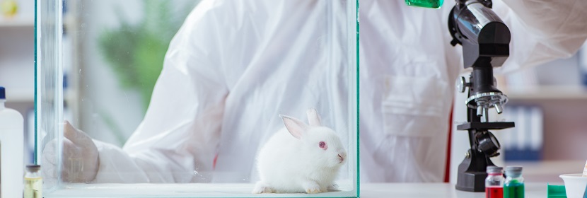 消毒劑急性吸入毒性試驗