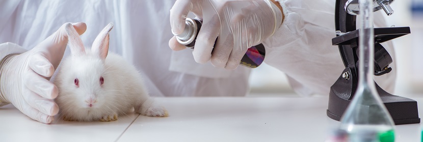 毒理學急性吸入毒性試驗