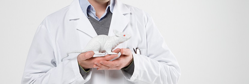 動(dòng)物急性經(jīng)口毒性試驗(yàn)