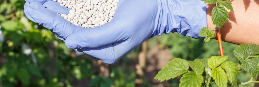 緩控釋磷肥檢測