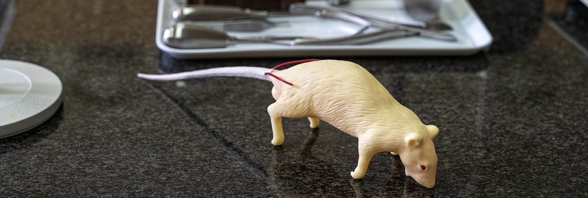 化妝品皮膚光毒性試驗(yàn)