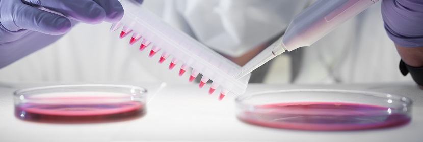 一次性使用衛(wèi)生用品陰道黏膜刺激試驗(yàn)