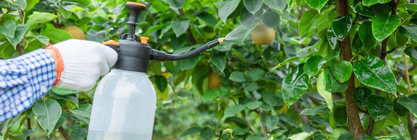 農(nóng)藥檢測檢驗(yàn)