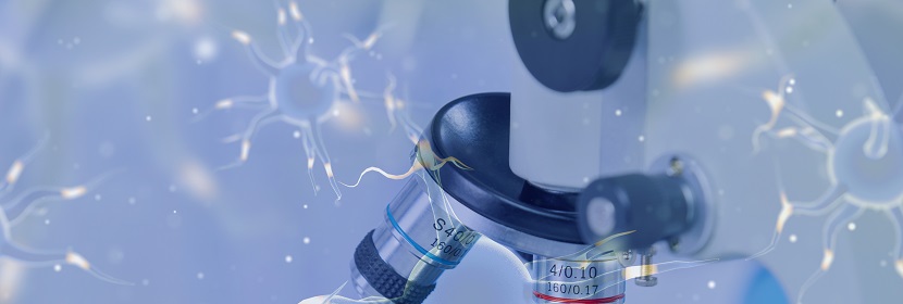 煙氣脫硫橡膠襯里檢測(cè)